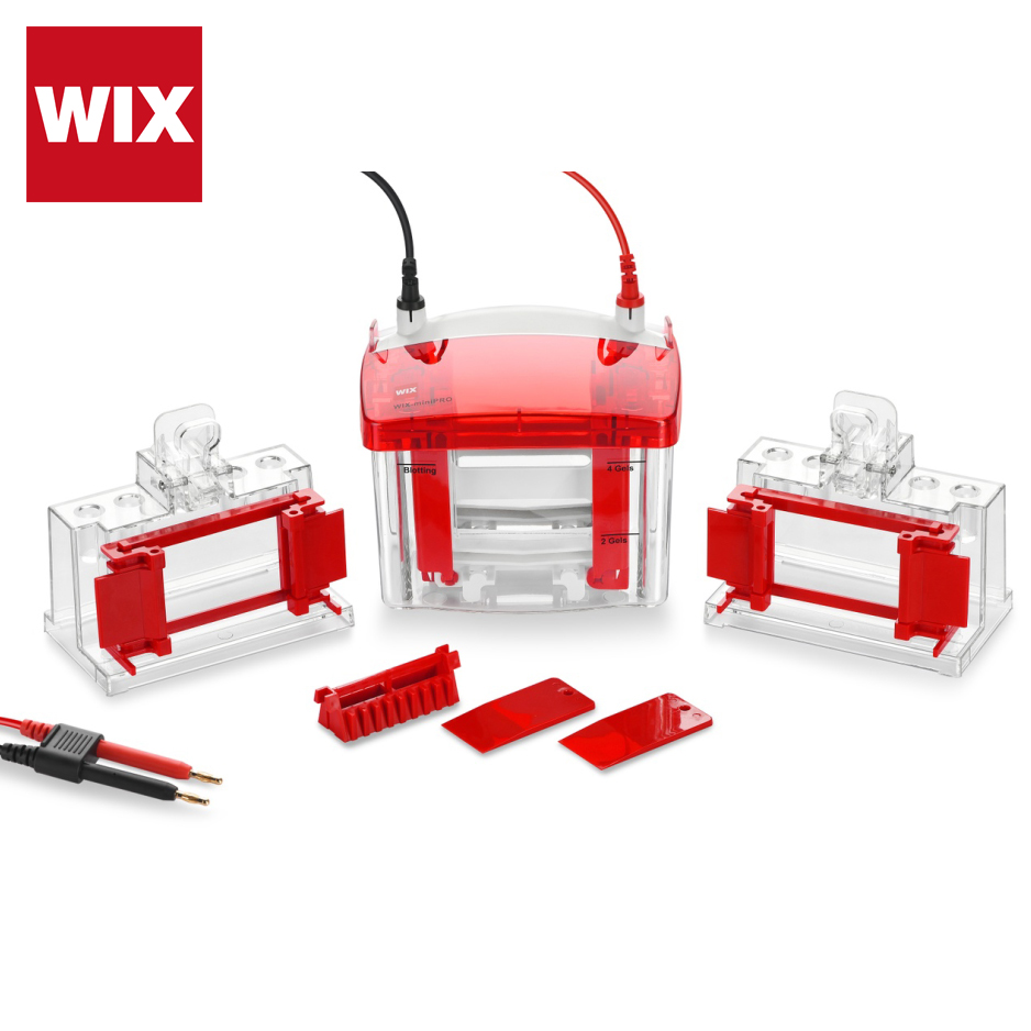 WIX-miniPRO2 兩塊膠迷你垂直電泳槽